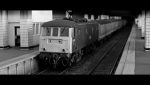 81005bnsmarch2013