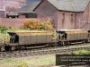 hornby-seacows